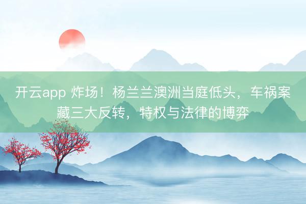 开云app 炸场!杨兰兰澳洲当庭低头,车祸案藏三大反转,特权与法律的博弈